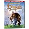 Dragon themed movies & animated shows for  kids on DVD VHS