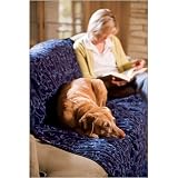 Pet Supplies : Coleman Tails N Trails Oversized Pet Blanket