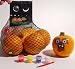 Paint Your Own Pumpkin Activity Kit