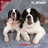 2009 St Bernard Wall Calendar