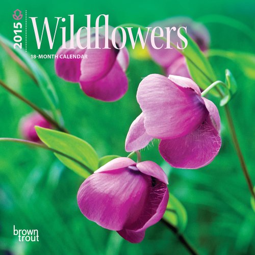 Wildflowers 2015 Mini 7x7