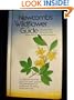 Newcomb's Wildflower Guide:  An Ingenious New Key System for Quick, Positive Field Identification of the Wildflowers, Flowering Shrubs and Vines of Northeastern and North-central North America