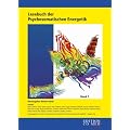 Lesebuch der Psychosomatischen Energetik, Band 2: BD 2