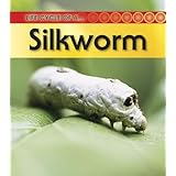 Silkworm: 2nd Edition (Life Cycle of a)