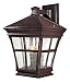 51zidEpfJ7L. SL75  Trans Globe Lighting 4056 RT 14 1/2 Inch 1 Light Outdoor Down Wall Lantern, Rust