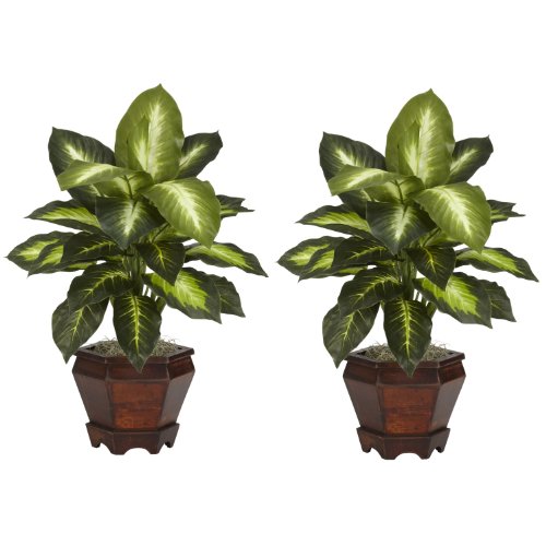 Nearly Natural 6712-GD-S2 Dieffenbachia with Wood Vase Decorative Silk Plant, Golden, Set of 2