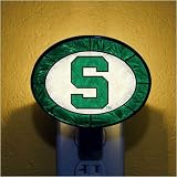 Michigan State Spartans Hand-Painted Glass Nightlight