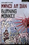 Burning monkey = Mwnci ar dân
