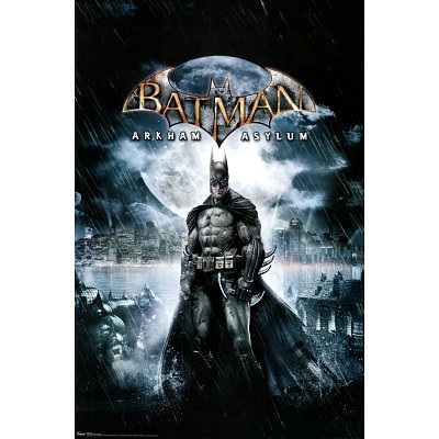 Batman Arkham Asylum Key Art - Batman in Rain Video Game Poster Print - 22x34