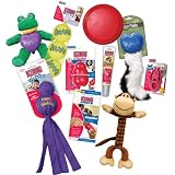 KONG Favorites Medium Dog Toys and Treats Combo Pack (Colors Vary)