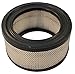 Stens 100-032 Kohler 231847-S Air Filter