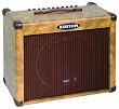 Kustom Sienna Series 65-watt Acoustic Amplifier Kustom Sienna Series 65-watt Acoustic Amplifier