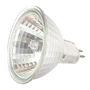 Moonrays 95518 20-Watt MR-16 Halogen Light Bulb, Clear by Coleman Cable