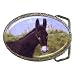 Limited Edition Violano Belt Buckle Donkey Burro