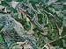 Terraced plots and dwellings adjoin on the outskirts of Arequipa Photographic Poster ...