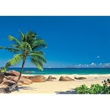 Buy Brewster 4-006 Komar Seychellen Wall Mural with Paste, 8-Foot 10-Inch by 6-Foot... by Brewster