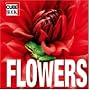 Flowers (Cube Books)