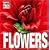 Flowers (Cube Books)