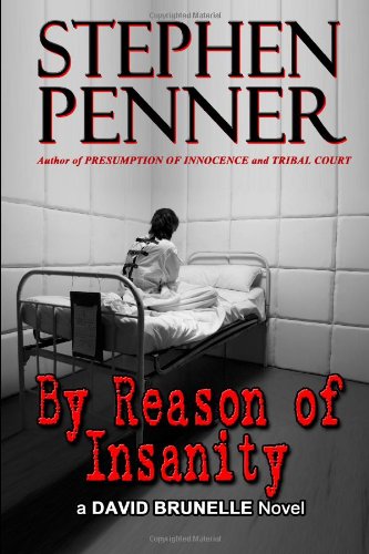 By Reason of Insanity David Brunelle Legal Thriller 3615822355 