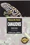 Camaleones,cuidados, crianza / Chameleons, care, breeding (Manuales Del Terrario) (Spanish Edition)