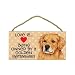 golden_retriever22golden retriever - Golden Retriever Love is being owned by Door