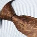 Designer Fashion Gift Necktie Brown Ties Theme Neck Tie for Men Woven Pure Silk Mens Neckwear Neck Tie Set P5053