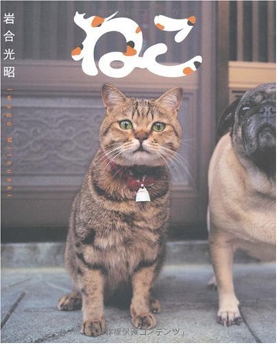 ねこ
