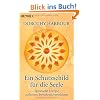 Ein Schutzschild f�r die Seele: Spirituelle Energie aufbauen, bewahren, verteidigen