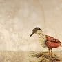 False Hopes [Explicit]