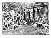 Deer Hunters with their dogs at Hood Canal Photograph - Hood Canal, WA Stretched Canvas Poster Print, 12x16