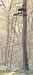 Tripod Deer Stands
51zjhQZwsHL. SL75 Tripod Deer Stands