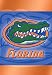 University of Florida Gators Silk Reflections Flag - Garden Size