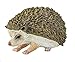 Safari Ltd. Hedgehog Figurine - Detailed 3.5