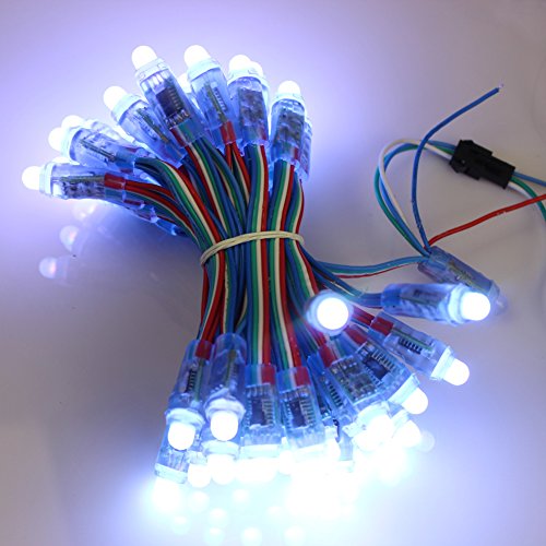 Individual Addressable Color12mm WS2801 LED Pixel String RGB Waterproof IP65 Dream Magic Light Pack of 100pcs