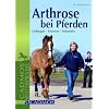 Arthrose bei Pferden: Vorbeugen-Erkennen-Behandeln
