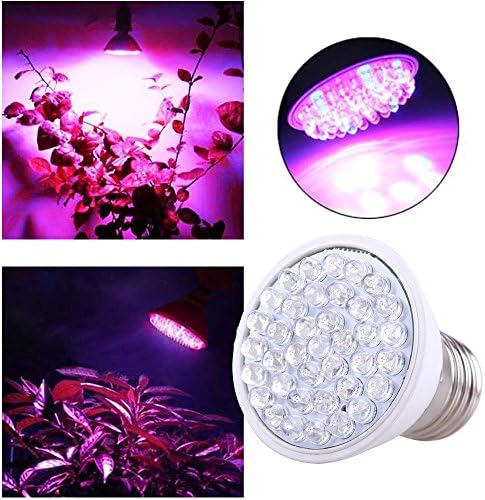 HiqLED E27 6W 60LEDs Energy Saving Blue Red Hydroponic Plant Grow Light Bulb
