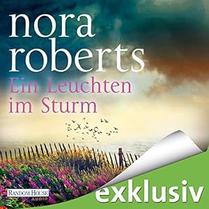 Ein Leuchten im Sturm