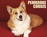 Just Pembroke Corgis 2012 Calendar