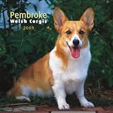 Welsh Corgis, Pembroke 2009 Square Wall Calendar