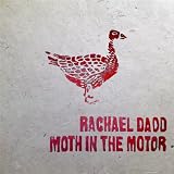 Moth In The Motor
