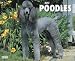   - Just Poodles 2008 Calendar - Dog Breed 2008 Calendars