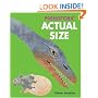 Prehistoric Actual Size