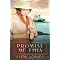 Great Christian Historical Fiction Reads of 2013
