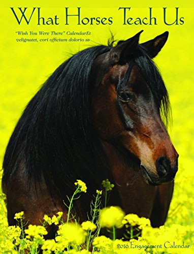 2016 What Horses Teach Us Engagement Calendar