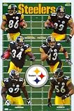 Pittsburgh Steelers Team Field Sports Poster Print - 22x34