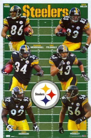 Pittsburgh Steelers Team Field Sports Poster Print - 22x34