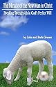 The Miracle of the New Man in Christ: Breaking Strongholds in God's Perfect Will