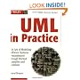 The UML in Practice: The Art of Modeling Software Systems Demonstrated Through Worked Examples and Solutions