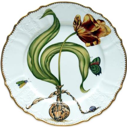 Anna Weatherley Forest Mushrooms 1 Hors DOeuvre Plate 6 In Anna Weatherley Forest Mushrooms 1 Hors DOeuvre Plate 6 In