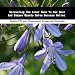 Book Unraveling The Inner Game To Car Door And Bumper Guards Sales Success Online
